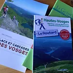 Chalet Typique Vosgien 