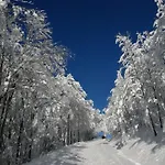 Typique Vosgien 