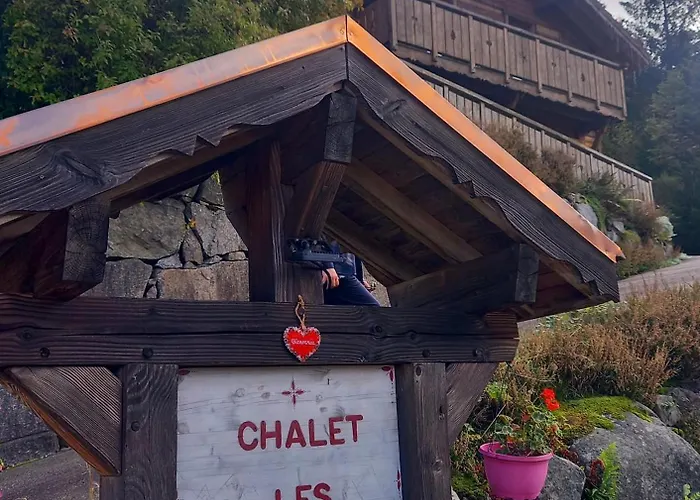 Chalet Typique Vosgien 